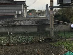 -剑南五香牛肉店