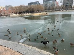 -中国农业博物馆