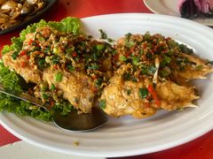 -大树下海鲜饭店