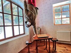 -金山农民画村-枫泾波兰倒置屋