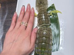 -顺轩海鲜火锅酒家