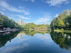 -晓港公园