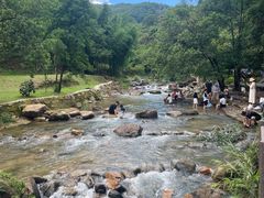 -广州白江湖森林公园