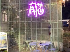 -有猫主题·治愈系猫咖(曾厝垵店)