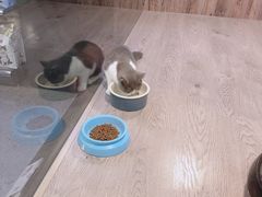 -宠物世家(仲盛世界商城店)