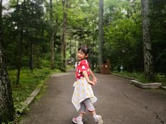 -洛阳白云山景区