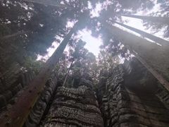 -梭布垭石林景区