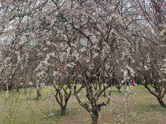 -蜀冈西峰生态公园