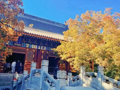 -香山公园
