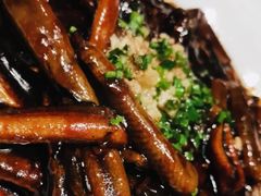 响油鳝丝-蝶园·装修中(BFC外滩金融中心店)