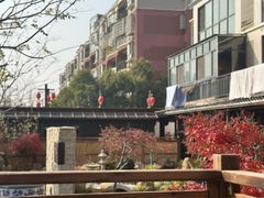 -传统菜农庄(皇姑路店)
