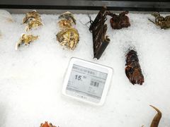 -盒马渔市餐厅