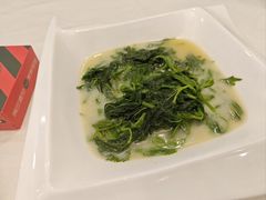 -五谷芳乳鸽王(海景店)