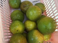 -白沙门生态公园