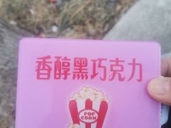 -源宗盛粽子汤圆