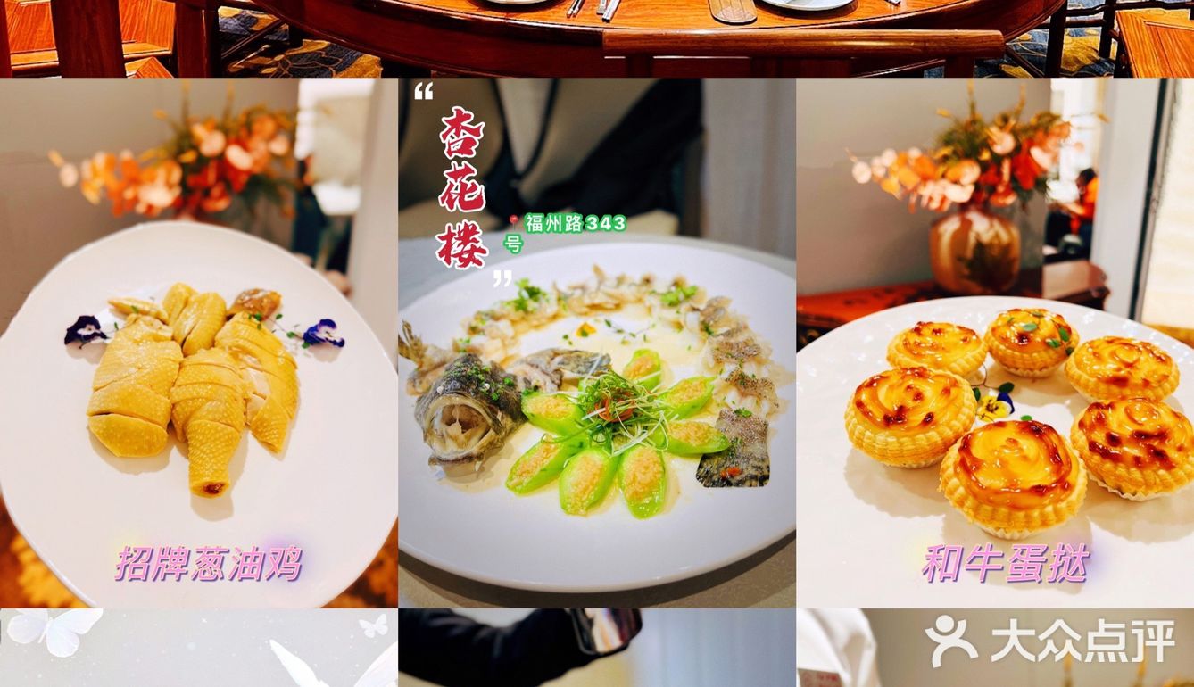 魔都探店💐|杏花又重开 高贵又不贵 💰