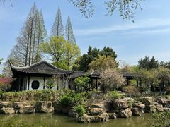-红梅公园