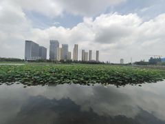 -保定东湖公园(莲池区)