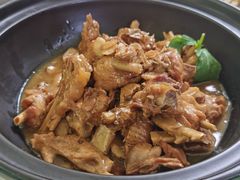林间沙姜鸡-林间山庄