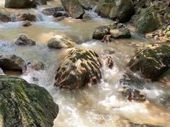 -牛鱼嘴原始生态风景区
