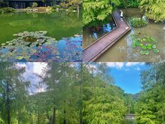 -云溪植物园