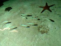 -福州罗源湾海洋世界旅游区