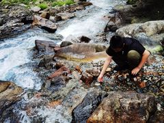 -西岭雪山大飞水景区