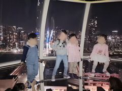-墨尔本之星 观景摩天轮