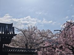 -醍醐寺