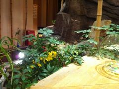 iphone_upload_pic-江户前日本料理(瑞诗酒店店)