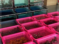 -众味海鲜大排档·活海鲜·潮汕味(南澳店)