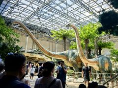 -国家自然博物馆