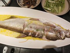 -苏帮袁Sue Cuisine(将台店)