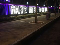 -枫花园汽车电影院(朝阳公园店)