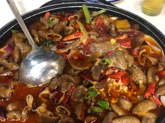 肥肠煲-德优正宗川菜馆