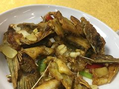 -鸽王世家(东华东路店)