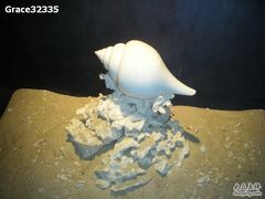 -亚龙湾中心广场·贝壳馆