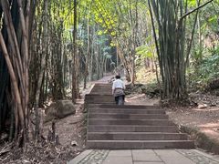 -凤栖山