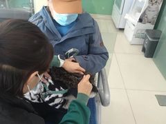 -利又安动物医院··老年病·猫科犬科·中兽医