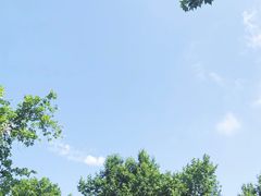 -幸福湖国际会议中心