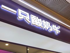 -一只酸奶牛(时代天街A馆店)