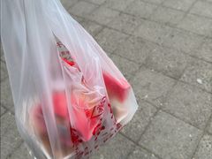 -源宗盛粽子汤圆