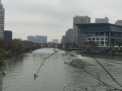 -运河游船(武林门码头)