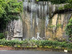 -西双版纳原始森林公园