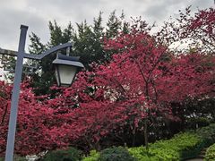 -乌山风景区