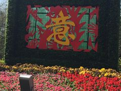 -金山植物公园