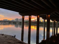 -长白岛森林公园