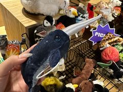 -G·SPACE(金鹰世界店)