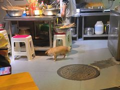 -长药唐师乐山油炸(石人直营店)