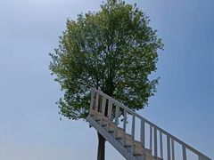 -武汉紫薇都市田园